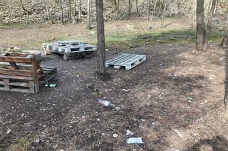 Wandalizm w centrum Trzebini. Śmieci, uszkodzone drzewka i zniszczona ścieżka pszczelarska