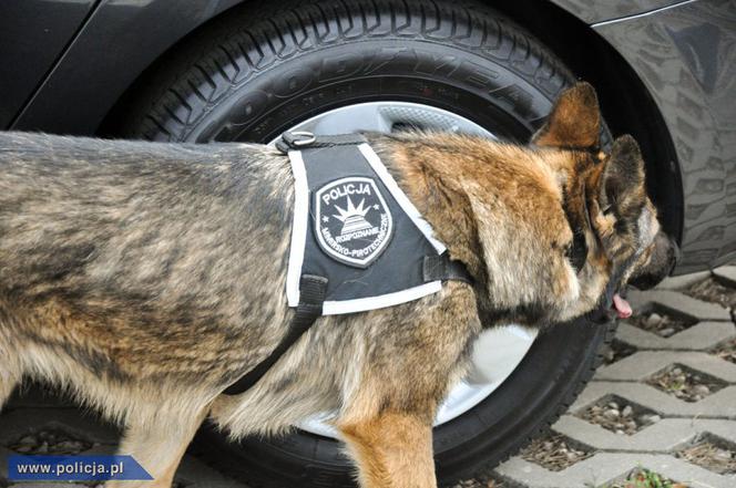 Alarmy bombowe w całej Polsce: Ewakuacja Telewizji Lublin?