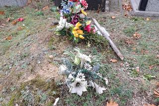 Zaniedbane mogiły znanych aktorów i nowy grób Żory Korolyova. Cmentarz Północny, październik 2023