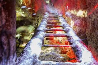 Najdłużej działający zakład w Polsce leży w Małopolsce. Funkcjonuje od ponad 700 lat 