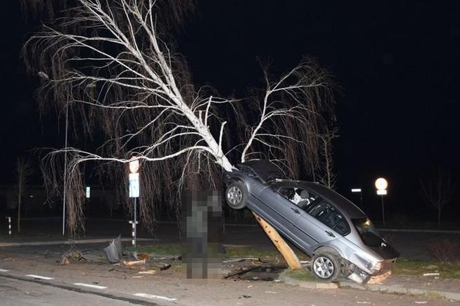 Pijany kierowca BMW wjechał na drzewo – dosłownie. Cztery osoby ranne