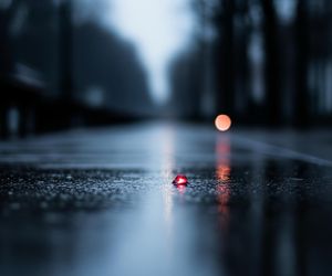 Kradzieże na cmentarzach. Jak powstrzymać cmentarne hieny?