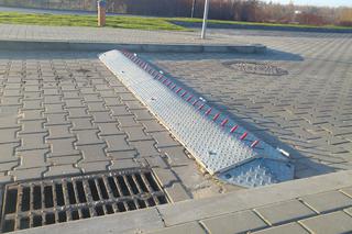 Kolczatka przy Burger Kingu