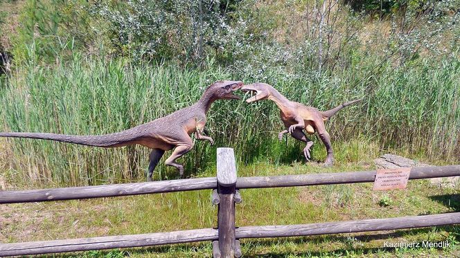 JuraPark w Krasiejowie. Podróż w czasie o miliony lat tylko godzinę drogi z Katowic