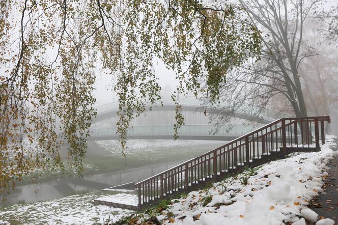 Park Ludowy w Lublinie skąpany we mgle