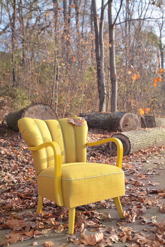 Żółty fotel w jesiennej stylizacji