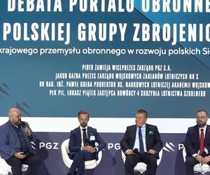 Udział krajowego przemysłu obronnego w rozwoju polskich Sił Powietrznych