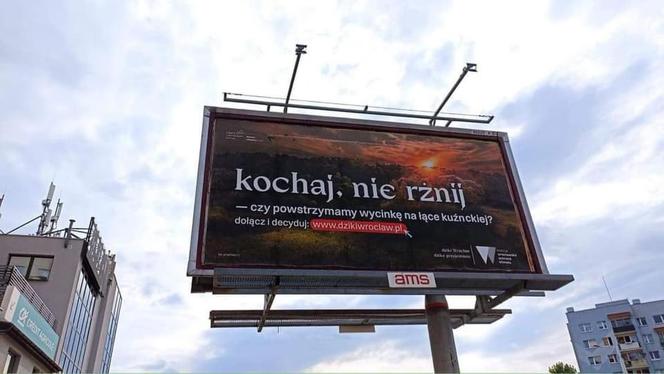 „Kochaj, nie rżnij”, „Chcemy bzykać w spokoju" czy „Chcemy mieć mokro”