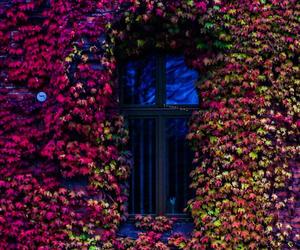 Dług Torunia wzrośnie do ponad 1,5 miliarda zł