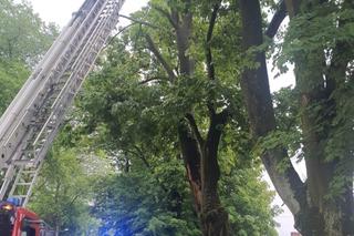 Strażacy z województwa świętokrzyskiego walczą ze skutkami burz