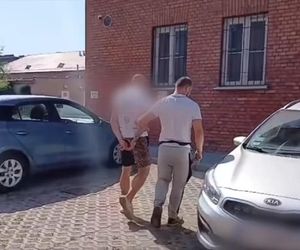 Znudził mu się pies. Najpierw chciał go uśpić, a w końcu porzucił