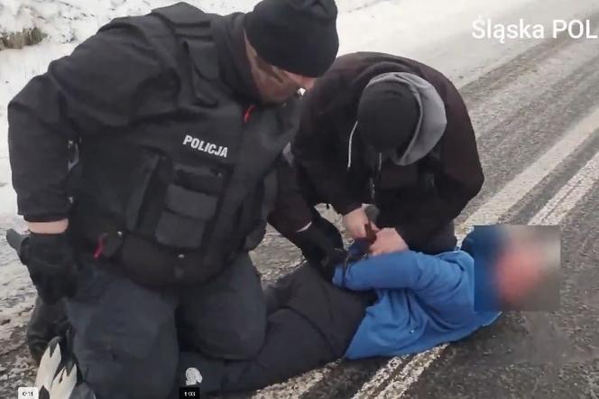 Śląskie. Policjanci rozbili grupę przestępczą