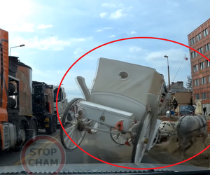 Konie też mają dość korków w Krakowie. Tak postanowiły je ominąć! [WIDEO]