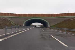 Obwodnica Nowego Miasta Lubawskiego - zdjęcia z grudnia 2022