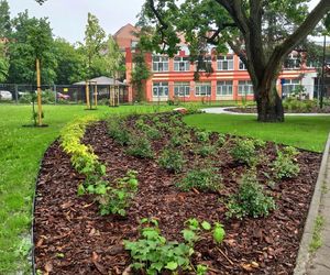 Ukraińskie ustronie to nowy toruński park kieszonkowy