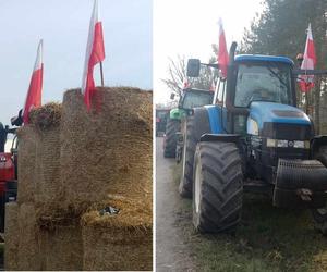 Wypadek na proteście rolników pod Bydgoszczą! Kobieta potrąciła komendanta policji i rolnika 