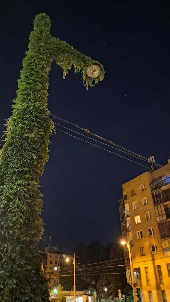 Upiorne latarnie we Wrocławiu. Miejskie straszydła to wieczorna atrakcja miasta