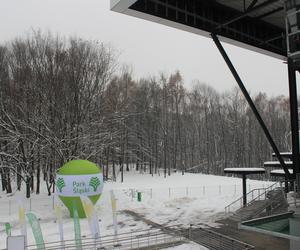 Elka w Parku Śląskim. Widok z góry