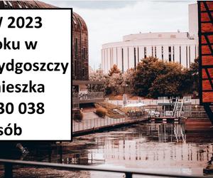 Największe miasta w Polsce pod względem populacji 2023