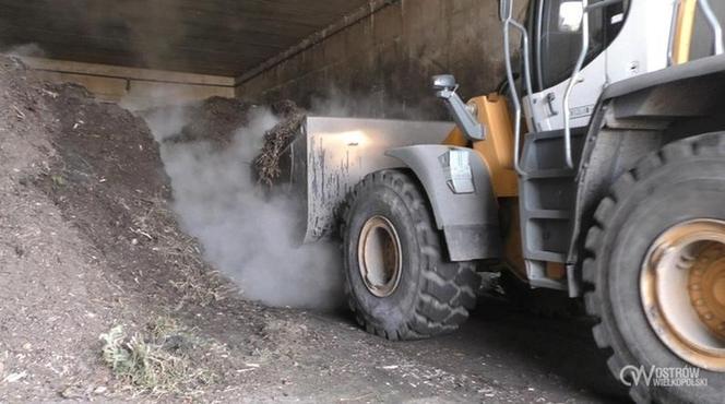 Będzie śmierdzieć mniej? Wywożą zielone odpady z RZZO w Ostrowie