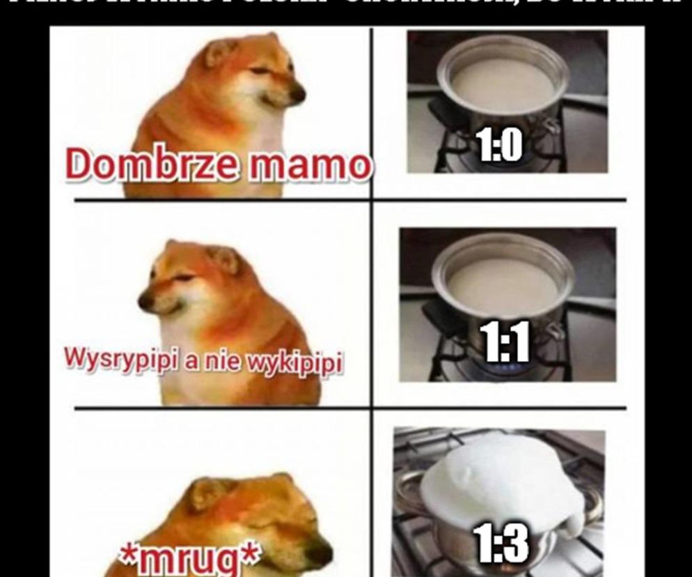 Polska - Chorwacja memy