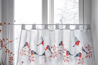 Zazdrostka świąteczna