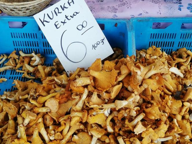 Ile kosztują grzyby w Krakowie? Ceny na targowiskach przyprawiają o zawrót głowy