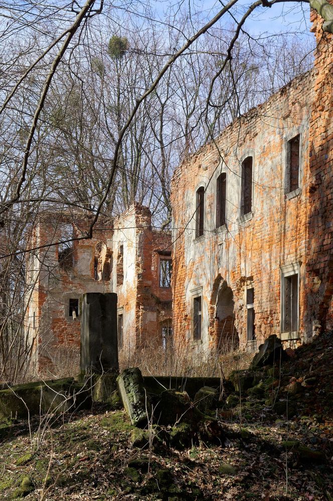 To jeden z najstarszych pałaców w Małopolsce. Mieszkańcy wsi widują w jego ruinach zjawę