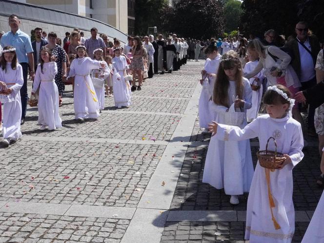 Procesja Bożego Ciała w Katowicach