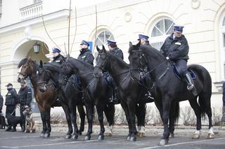 POLICJA KONNA