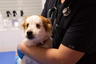 Jaś bez oczu dostał mikołajowe prezenty