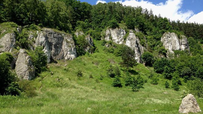 Jura Krakowsko-Częstochowska