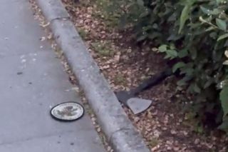 Zabójstwo na kampusie UW. Policja opublikowała wstrząsające nagranie. Pokazali wszystko