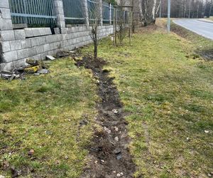 Tragiczny wypadek w Chełmie. Dwóch 18-latków nie żyje. Znicze na miejscu tragedii