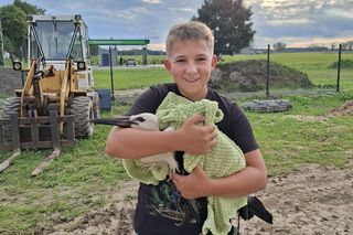 Mieszkańcy gminy Kuślin uratowali bociana