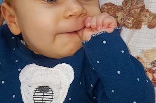 Udało się zebrać 9,5 mln zł na leczenie Poli, a dziecko walczy o życie w szpitalu