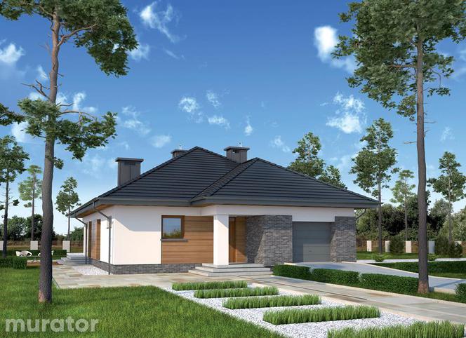 Projekty małych i tanich w budowie domów