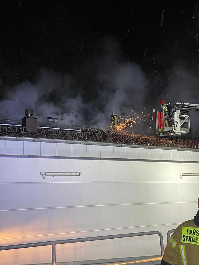 Podpalał sklepy i kontenery na terenie Jeleniej Góry. Groźny podpalacz trafił za kraty 