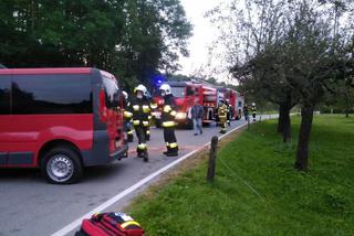 Kicznia. Uderzył samochodem w budynek. Wszystko przez dzikie zwierzę