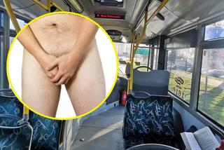 Poznań: Wyciągnął PENISA w autobusie miejskim. Bez wstydu sobie dogadzał na oczach pasażerów