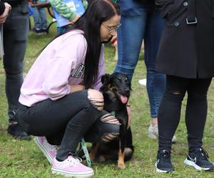 IX Piknik Przyjaciół Schroniska w Toruniu