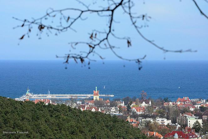 Widok na Sopot z Zajęczego Wzgórza