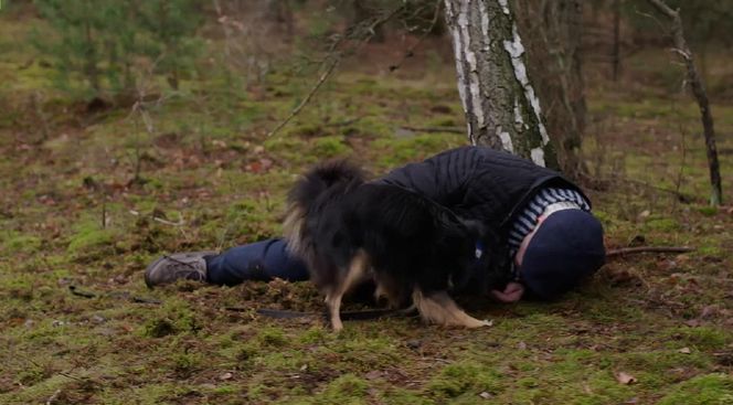 	M jak miłość odc. 1857. Jan Mokrzycki (Wojciech Duryasz)