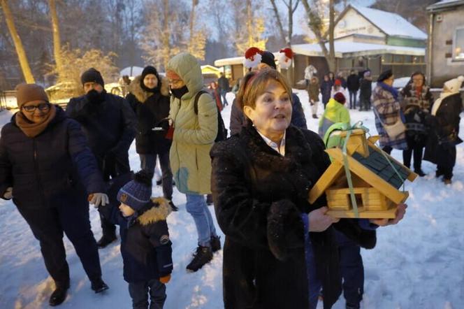 Dzielnicowe choinki w Gdańsku już świecą