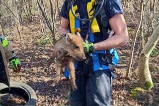 Wyciągnęli młodego z czeluści 