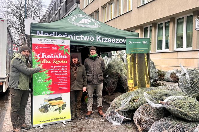 Akcja Choinka dla życia w Krakowie