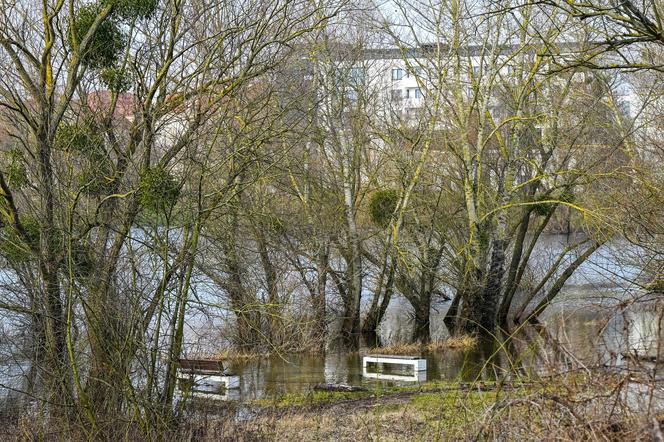 Ksiądz Rydzyk może spać spokojnie. Wisła nie zaleje jego kościoła, muzeum i szkoły