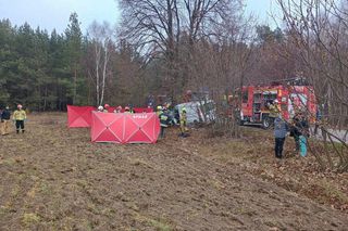 Wypadek w Woli Okrzejskiej