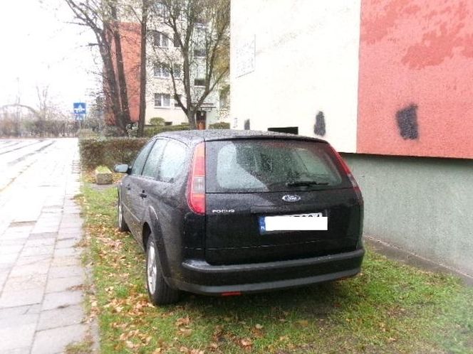 Tak parkują "miszczowie parkowania" z Katowic. Strażnicy miejscy rozkładają ręce 