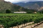 Najbardziej popularne tereny winiarskie w Europie i na świecie - Argentyna